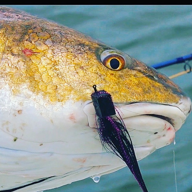I can’t wait until it cools off and we can get some of these big   on